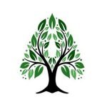 Arbor Financial Advisors, LLC